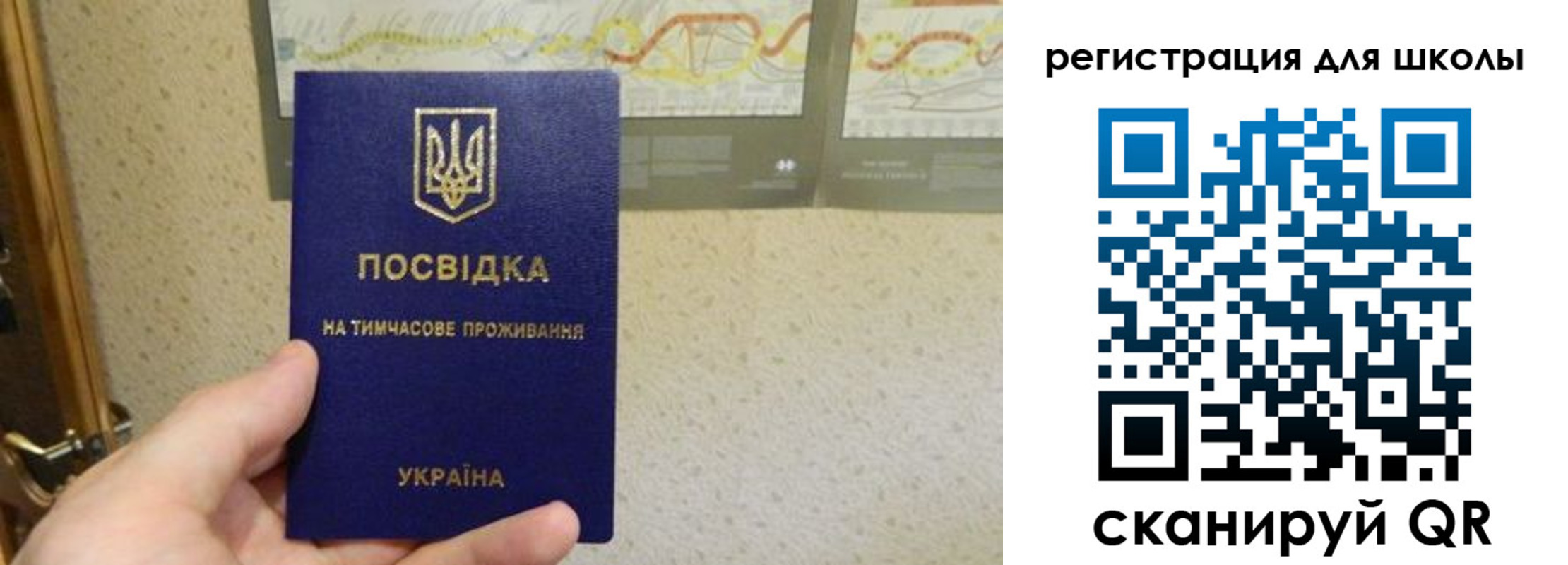 временная прописка в Белебее